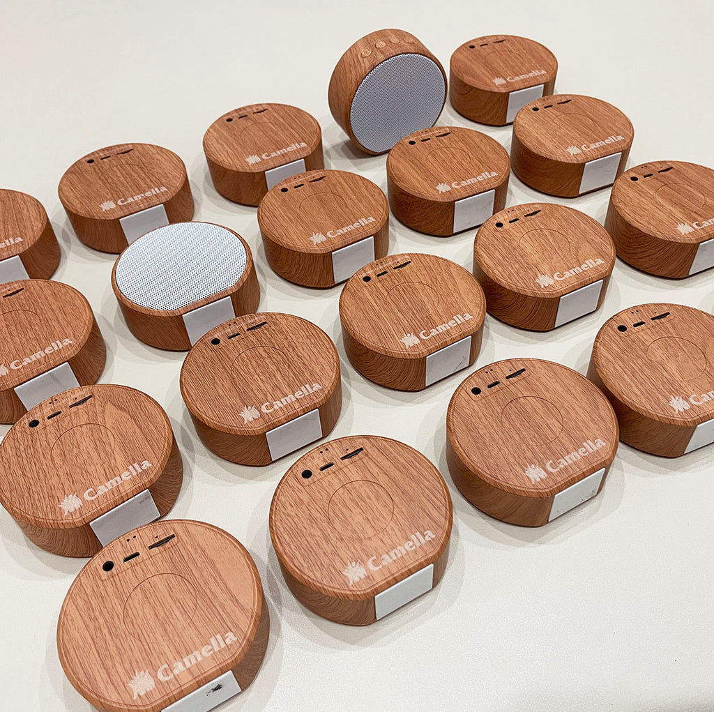 Wireless Bluetooth Speakers